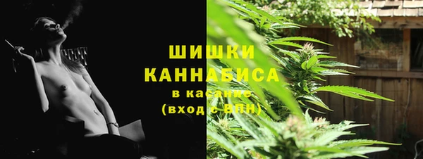 молекула духа Балахна