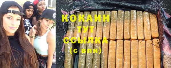 мет Дмитров