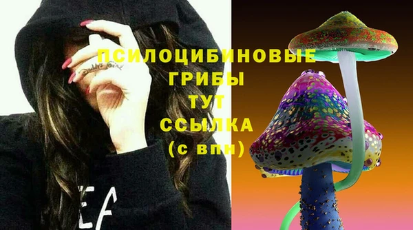 молекула духа Балахна