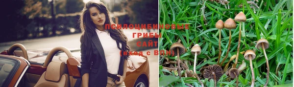 молекула духа Балахна